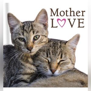 Mother Love Book